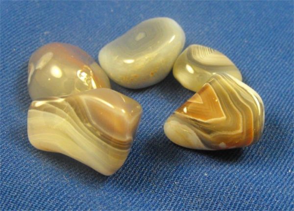 botswana agate tumbled stones 1-1