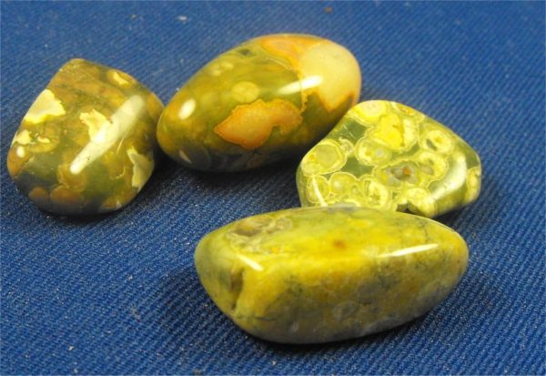 rainforest jasper tumbled stones