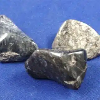 Blue Palm Wood Tumbled Stones Large