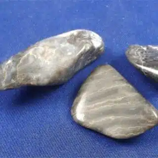 Blue Palm Wood Tumbled Stones Medium