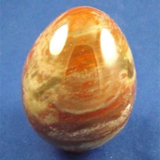 petrified wood egg