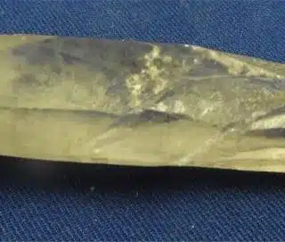 Smoky Lemurian Quartz Point 5