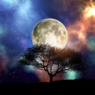 Moon Magic - BOS Pages