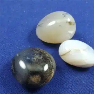 Dendritic Agate Tumbled Stones