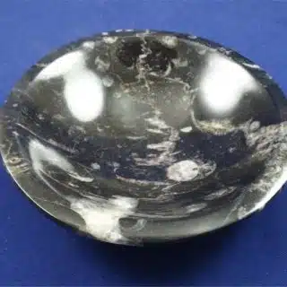 Orthoceras Bowl 2
