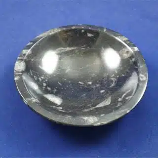 Orthoceras Bowl 3