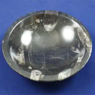 Orthoceras Bowl 4
