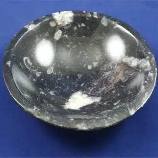 Orthoceras Bowl 5