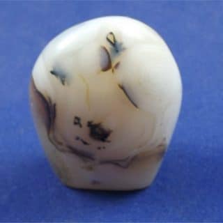 Dendritic Agate Freedform 1
