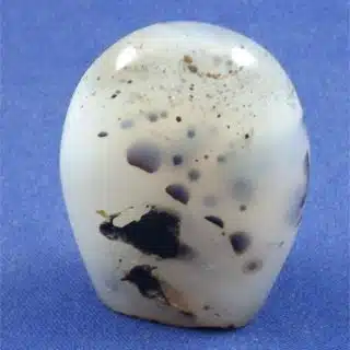 Dendritic Agate Freedform 5