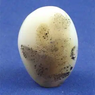 Dendritic Agate Freedform 8