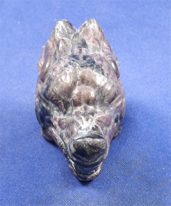 Metaphysical Healing Properties of Wolf Head Skulls