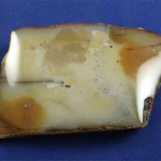 Dendritic Agate Slab 5
